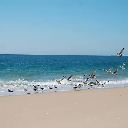 S&s Palmeiras - Pool, Sea & Sun *